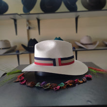 Cargar imagen en el visor de la galería, Panama Hat Ala Larga
